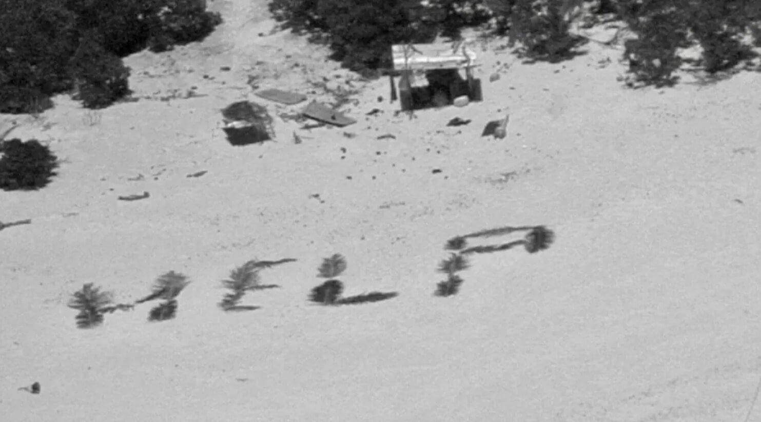Прямо как в кино: люди спаслись с необитаемого острова, выложив на песке слово спасите