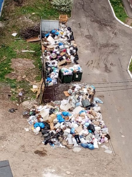 В Курске контейнерная площадка заросла мусором